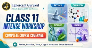 Class 11 Intense Course